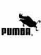 Puma-Pumba